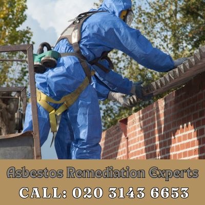 Asbestos Remediation Experts North Cheam