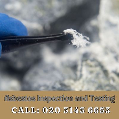 Comprehensive Asbestos Inspection and Testing Services in North Cheam